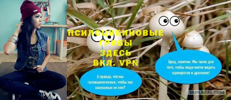 Псилоцибиновые грибы Psilocybe  Орлов 